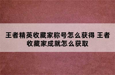 王者精英收藏家称号怎么获得 王者收藏家成就怎么获取